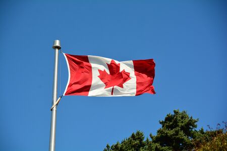 Canadian flag flies proudly in the skies.The maple leaf forever.の写真素材