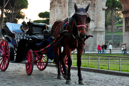 Horse and buggy awaiting tourists in Rome Italyの写真素材
