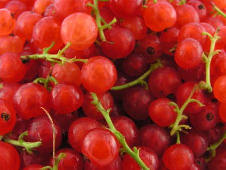 Red currant. A close up. A background.