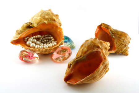 Cockleshell and beads. A close up. It is isolated on a white background.の写真素材