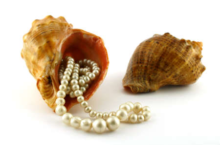 Cockleshell and beads. A close up. It is isolated on a white background.