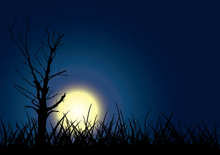 Tree outline on moon sky background. Vector illustration.のイラスト素材