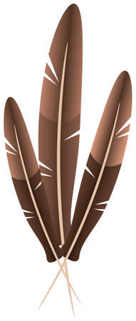 Three feather. Isolated on white background. Vector illustration.のイラスト素材