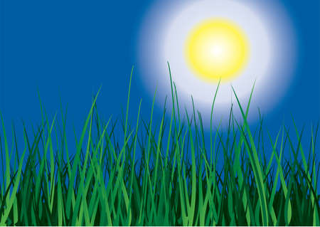 Green grass on sun sky background. Vector illustration.のイラスト素材