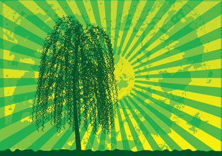 Tree silhouette on grunge rays background. Green - yellow palette. Vector illustration.のイラスト素材