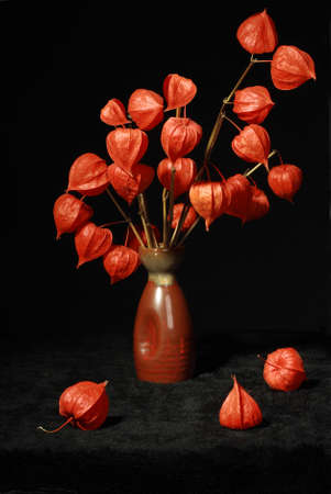 Bouquet with dry orange flowers in vase on black background. Close-up. の写真素材