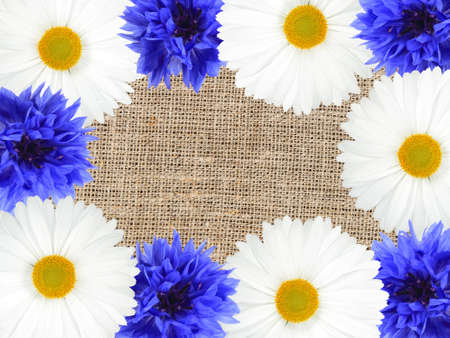 Abstract frame with white and blue flowers on textile background. Close-up. の写真素材
