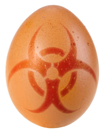 Orange egg with biohazard warning sign. Art design. Isolated on white background.の写真素材