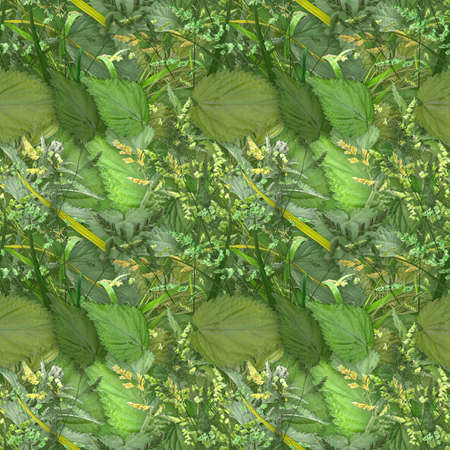 Abstract camouflage background with natural summer-autumn foliage and grass. Seamless pattern....