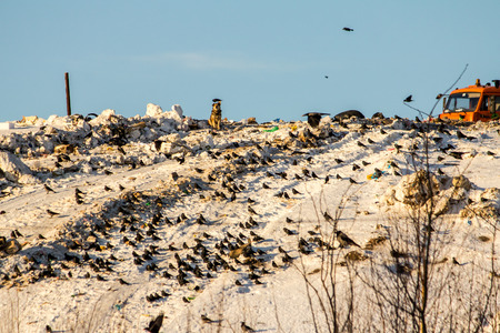 Gigantic urban garbage dumpの写真素材