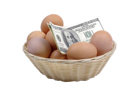 Eggs with dollars in basket isolated on white background. Financial concept.の写真素材