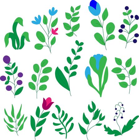 Set of leaves, flowers, twigs on white background in vector graphics. For the design of wallpaper, botanical illustrations, wrapping paper, textilesのイラスト素材