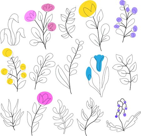 Set of leaves, flowers, twigs on white background in vector graphics. For the design of wallpaper, botanical illustrations, wrapping paper, textilesの写真素材