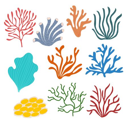 Set of sea corals on a white background in vector graphics. For the design of wallpapers, notebook covers, prints for textiles, wrapping paper, packagesのイラスト素材