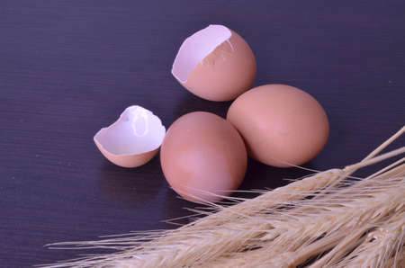 chicken eggs on a dark backgroundの写真素材