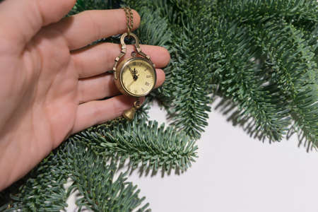 Mechanical watch medallion with a chain with a dial with Roman numerals lie on hand the background of green branches of a pine tree and show midnight 24.00 or 00.00の写真素材