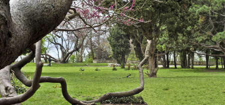 Lovely day in the parkの写真素材