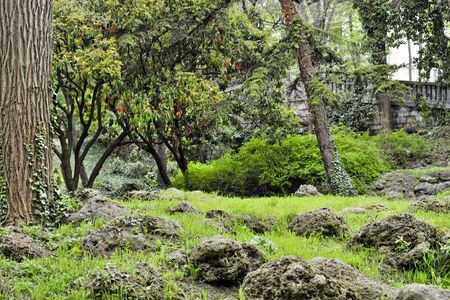 A lovely day in the parkの写真素材