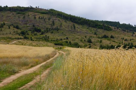 Country side road in Bulgariaの写真素材