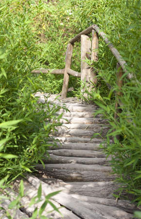 Wooden bridge stairs and plantsの写真素材