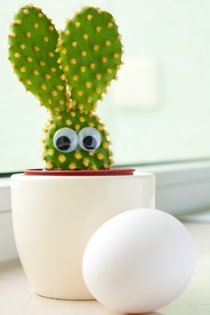 Closeup of a small cactus in shape of a bunny and easter eggの写真素材