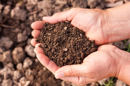 Female hands full of soil over soil background.Representing fertility