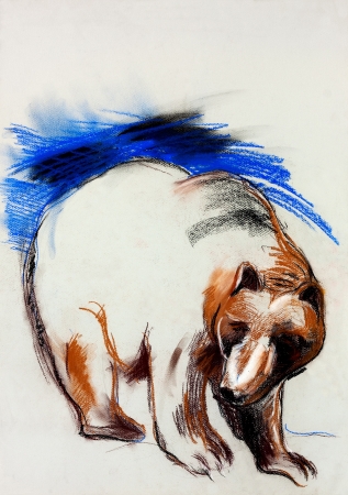  Original pastel and  hand drawn painting or  working  sketch of a bearの写真素材