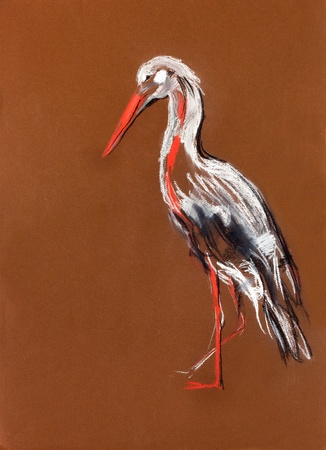  Original pastel and  hand drawn painting or  working  sketch of a  stork.Free compositionの写真素材