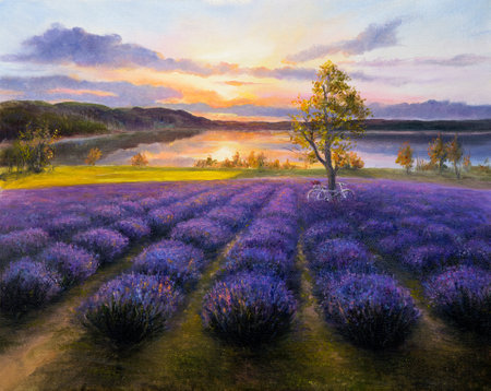 Original oil painting of lavender fields on canvas.Modern Impressionismの写真素材