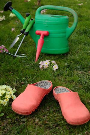 Outdoor gardening tools on green grass and flowers (garden, gardening, home)の写真素材