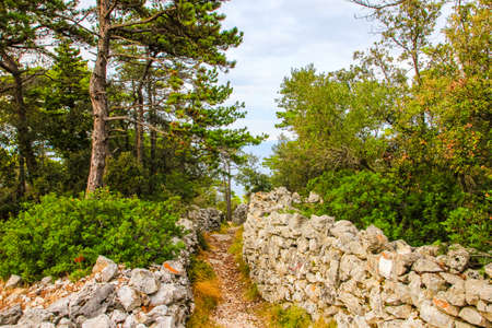 Hiking path in Losinj island, Croatia, Europeの写真素材