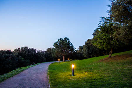Walking path through green parkの写真素材