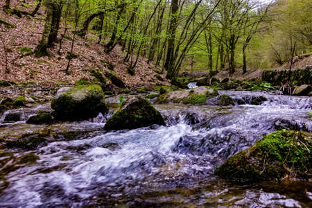 Flowing water over Rocks in Nature park Papuk, Jankovac. Croatia, Europeの写真素材