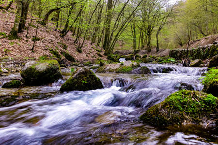 Flowing water over rocks in Nature park Papuk, Croatia, Europeの写真素材