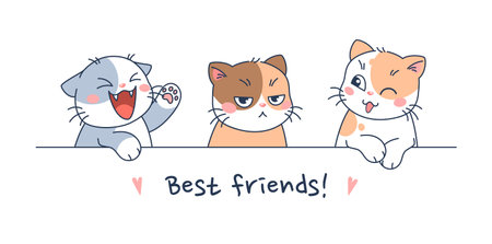 Three cute cats with different emotions and lettering best friendsのイラスト素材