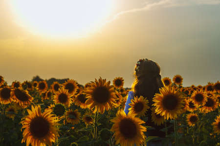 Girl and sunflowerの写真素材