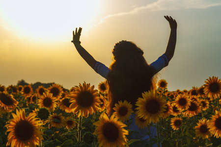Girl and sunflowerの写真素材