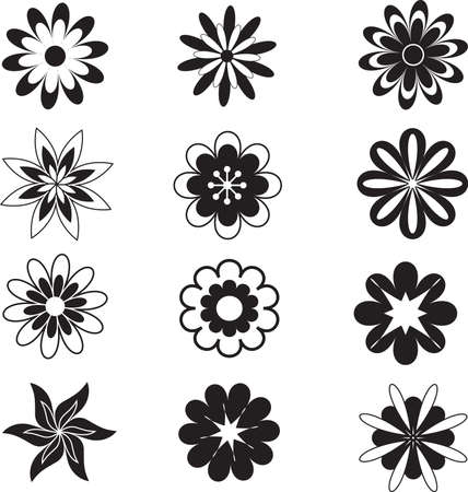 Black Flowers, White Flowersのイラスト素材