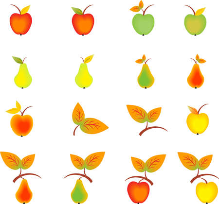 Allpes, Pears, Leaves, Fall Leavesのイラスト素材