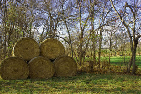 Hay Bales                 の写真素材