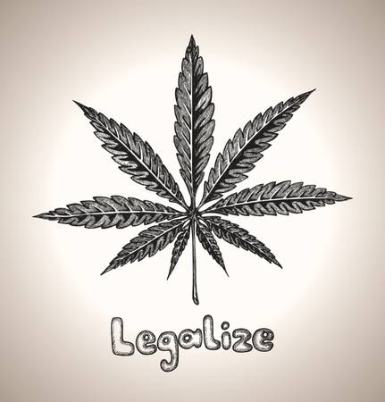 Marijuana  cannabis   Hemp leaf in a sketch style  Hand-drawn vector illustration のイラスト素材