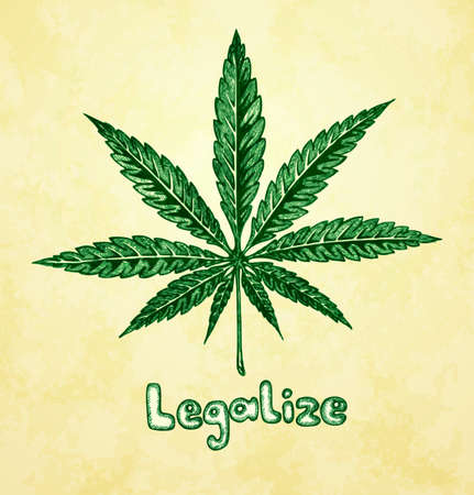 Marijuana  cannabis   Hemp leaf in a sketch style  Hand-drawn vector illustration のイラスト素材