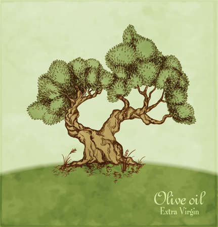 Olive tree in a sketch style. Hand drawn vector Illustration.のイラスト素材