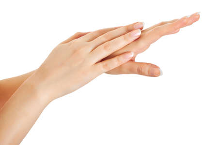 Female hands. The isolated white backgroundの写真素材