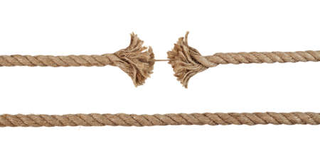 Rope on the isolated white backgroundの写真素材