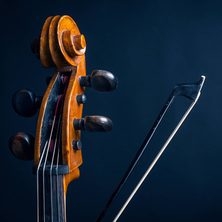 Scroll cello and fiddlestick on dark backgroundの写真素材