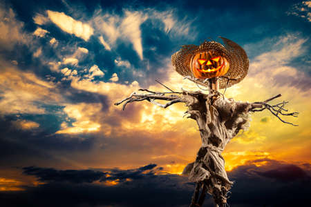 halloween scarecrowの写真素材