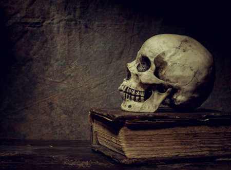 The skull lies on an old book. Photo taken in vintage style.の写真素材