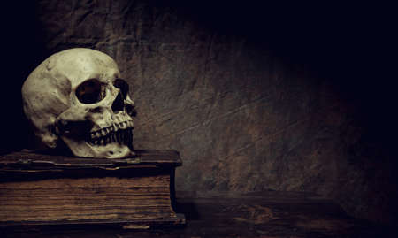 The skull lies on an old book. Photo taken in vintage style.