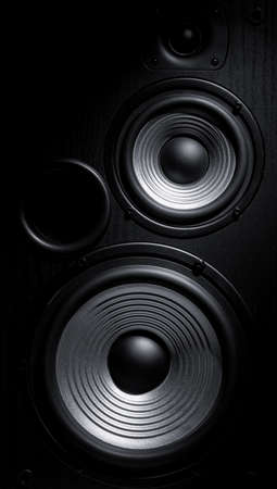 Music speaker speakers. Dark background. Front view.の写真素材